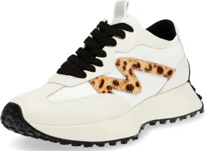 Steve Madden Women's Campo Sneaker
